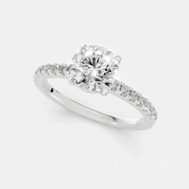 Majestic Halo - Diamond Land Antwerp - white-gold