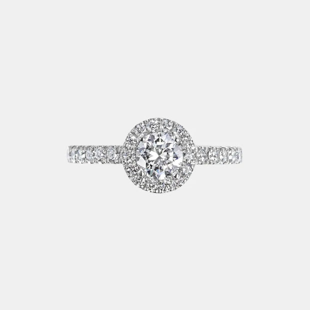 Celestia Halo - Diamond Land Antwerp - white-gold