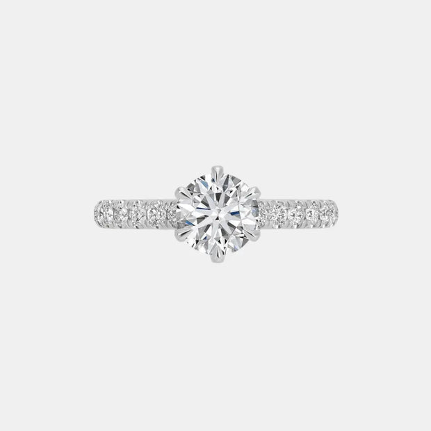 Seraphina Solitaire - Diamond Land Antwerp - white-gold