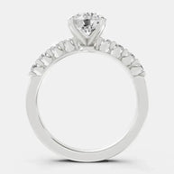 | white-gold
