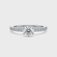 Timeless Euphoria | white-gold | Diamond Land Antwerp